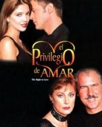 Привилегия любить (1998) смотреть онлайн
